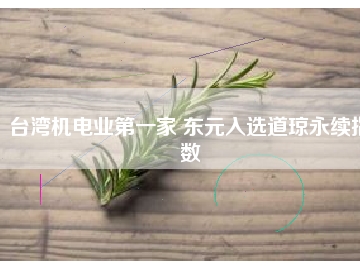 臺灣機電業(yè)第一家 東元入選道瓊永續(xù)指數