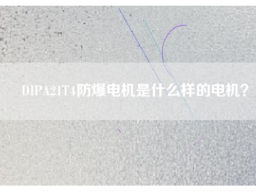 DIPA21T4防爆電機是什么樣的電機？