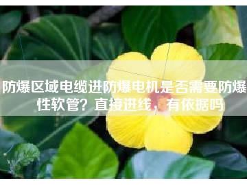 防爆區(qū)域電纜進防爆電機是否需要防爆撓性軟管？直接進線，有依據嗎