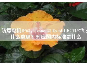 防爆電機IP65， zone 22 Ex td IIIC T197℃是什么意思？對應(yīng)國內(nèi)標準是什么