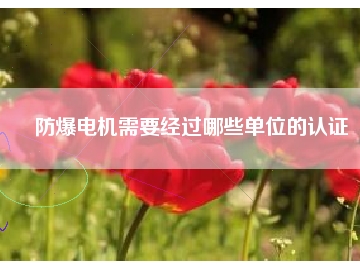 防爆電機需要經過哪些單位的認證
