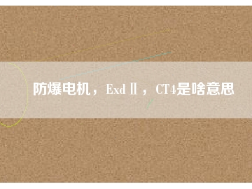 防爆電機，ExdⅡ，CT4是啥意思