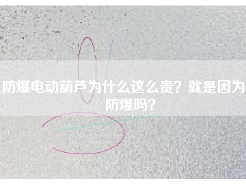 防爆電動(dòng)葫蘆為什么這么貴？就是因?yàn)槟芊辣瑔幔?></div>
                            <div   id=