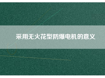 采用無火花型防爆電機(jī)的意義