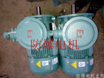 防爆電機(jī)分類：防爆電機(jī)選型、參數(shù)、定義