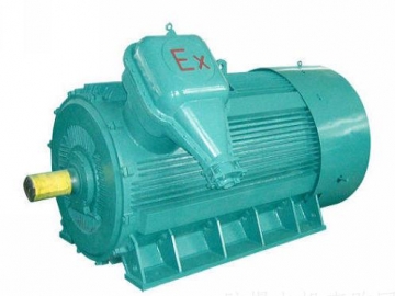防爆電機(jī)如何出現(xiàn)掃膛、振動(dòng)、軸承過熱要怎么處理