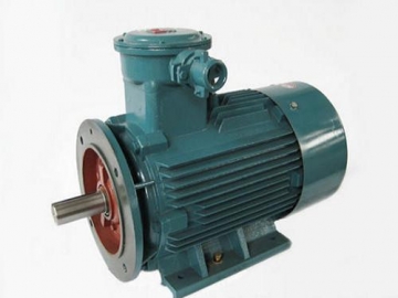 防爆電機(jī)驗(yàn)收時除了銘牌外，還要注意哪些？