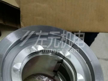EFZLB 11-110,EFZLB 9-80電機(jī)軸瓦，油封及油環(huán)應(yīng)用于化工行業(yè)電機(jī)
