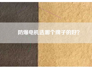 防爆電機(jī)選哪個(gè)牌子的好？