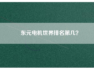 東元電機(jī)世界排名第幾？