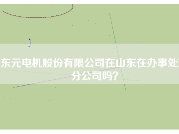 東元電機(jī)股份有限公司在山東在辦事處或分公司嗎？