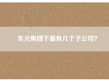 東元集團(tuán)下面有幾個子公司？