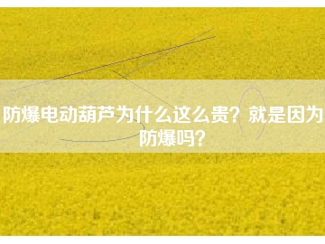 防爆電動(dòng)葫蘆為什么這么貴？就是因?yàn)槟芊辣瑔幔?></div>
                            <div   id=