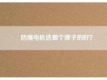 防爆電機(jī)選哪個牌子的好？