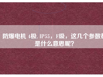 防爆電機 4極, IP55，F(xiàn)級，這幾個參數(shù)都是什么意思呢？