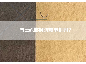 有220V單相防爆電機嗎？