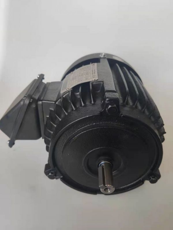 永磁電機(jī) DVEV  5.5KW  1500RPM  F#100L IE4效率電機(jī)