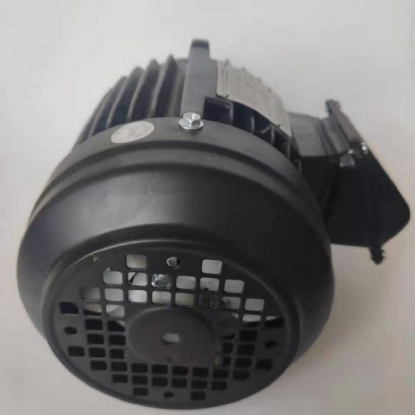 永磁電機(jī) DVEV  5.5KW  1500RPM  F#100L IE4效率電機(jī)