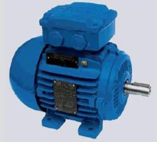 防爆電機(jī)