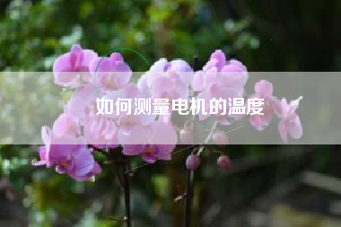 如何測(cè)量電機(jī)的溫度