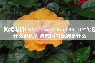防爆電機IP65， zone 22 Ex td IIIC T197℃是什么意思？對應(yīng)國內(nèi)標(biāo)準(zhǔn)是什么