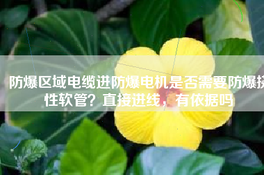 防爆區(qū)域電纜進(jìn)防爆電機(jī)是否需要防爆撓性軟管？直接進(jìn)線，有依據(jù)嗎
