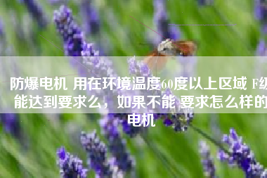 防爆電機 用在環(huán)境溫度60度以上區(qū)域 F級能達到要求么，如果不能 要求怎么樣的電機