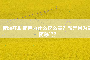 防爆電動(dòng)葫蘆為什么這么貴？就是因?yàn)槟芊辣瑔幔? title=