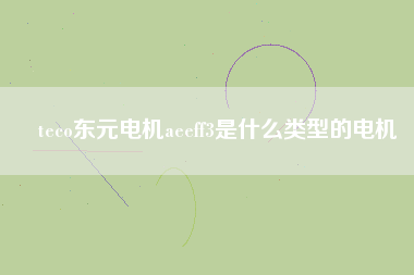 teco東元電機(jī)aeeff3是什么類(lèi)型的電機(jī)