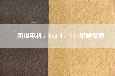 防爆電機，ExdⅡ，CT4是啥意思