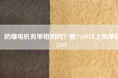 防爆電機(jī)有單相的嗎？要750W以上的單相220V