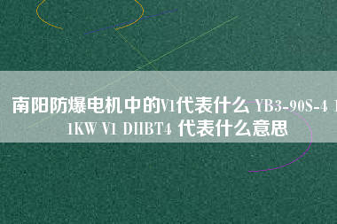 南陽防爆電機(jī)中的V1代表什么 YB3-90S-4 1.1KW V1 DIIBT4 代表什么意思