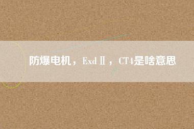 防爆電機(jī)，ExdⅡ，CT4是啥意思