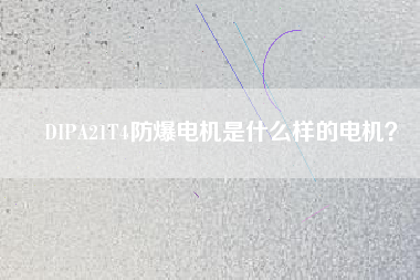 DIPA21T4防爆電機是什么樣的電機？